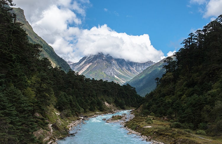 Yumthong-Valley-Sikkim-min